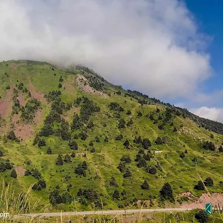 Arce - Inmopremium Turístico Canfranc